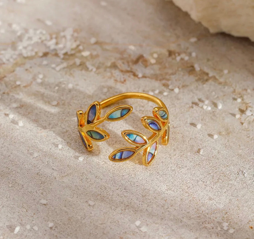 ARCOIRIS RING